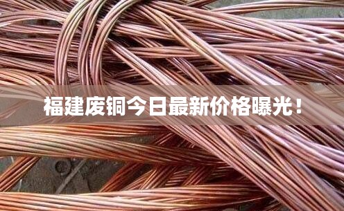 福建廢銅今日最新價格曝光！