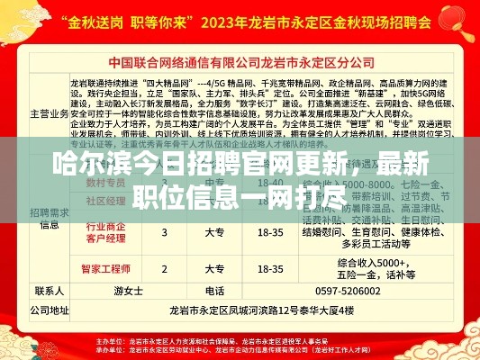 哈爾濱今日招聘官網(wǎng)更新，最新職位信息一網(wǎng)打盡