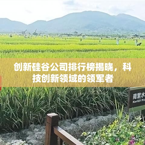 創(chuàng)新硅谷公司排行榜揭曉，科技創(chuàng)新領(lǐng)域的領(lǐng)軍者