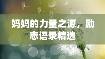 媽媽的力量之源，勵志語錄精選