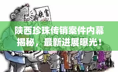 陜西珍珠傳銷案件內(nèi)幕揭秘，最新進(jìn)展曝光！