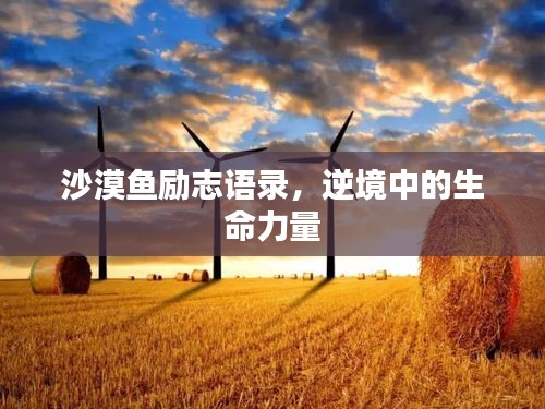 沙漠魚勵志語錄，逆境中的生命力量