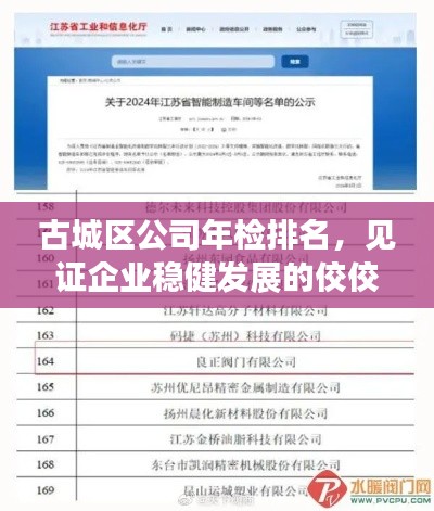古城區(qū)公司年檢排名，見證企業(yè)穩(wěn)健發(fā)展的佼佼者