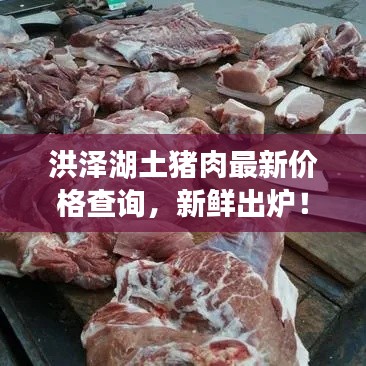 目不轉睛 第2頁