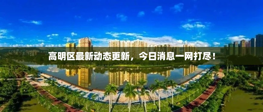 高明區(qū)最新動(dòng)態(tài)更新，今日消息一網(wǎng)打盡！