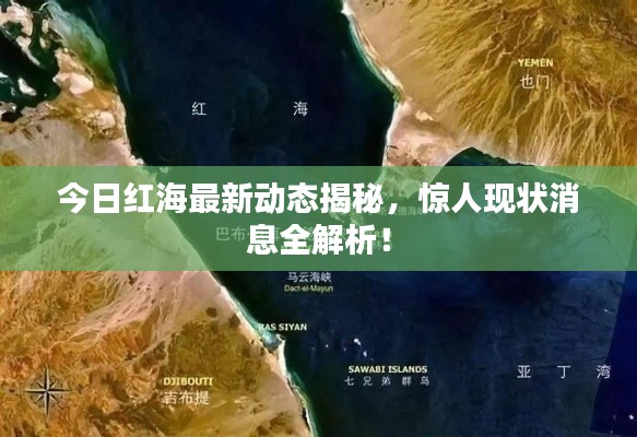 貴在知心 第3頁(yè)