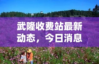 武隆收費(fèi)站最新動(dòng)態(tài)，今日消息全解析
