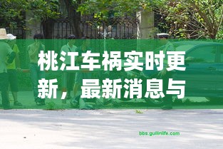 桃江車禍實(shí)時(shí)更新，最新消息與現(xiàn)場情況揭秘