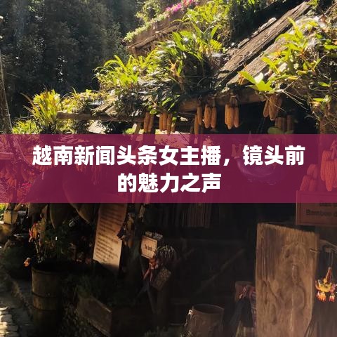 越南新聞?lì)^條女主播，鏡頭前的魅力之聲