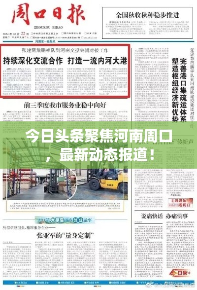 今日頭條聚焦河南周口，最新動態(tài)報道！