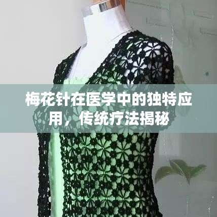鳥(niǎo)語(yǔ)蟬鳴 第3頁(yè)