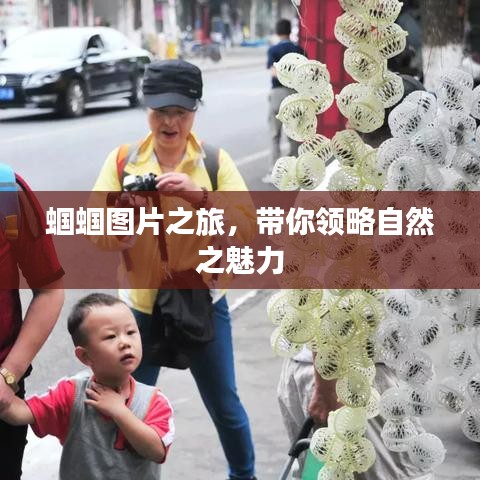 聯(lián)系我們 第286頁