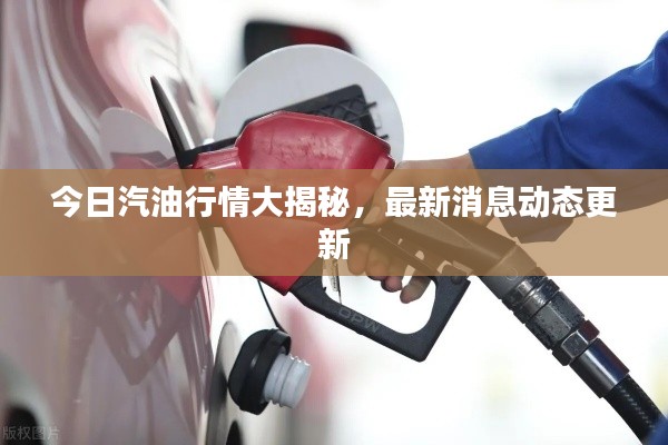 今日汽油行情大揭秘，最新消息動態(tài)更新