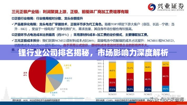 鋰行業(yè)公司排名揭秘，市場影響力深度解析