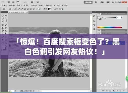 「驚爆！百度搜索框變色了？黑白色調(diào)引發(fā)網(wǎng)友熱議！」