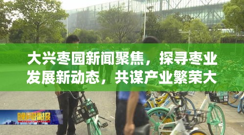 大興棗園新聞聚焦，探尋棗業(yè)發(fā)展新動態(tài)，共謀產(chǎn)業(yè)繁榮大計