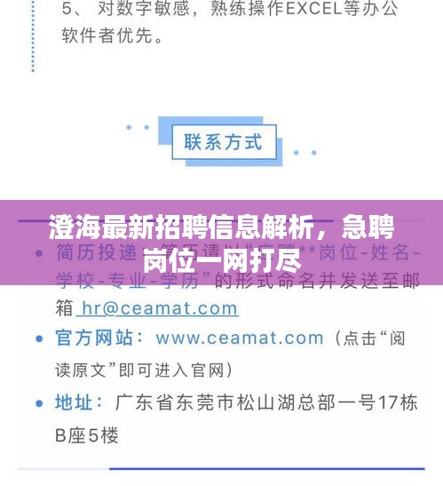 澄海最新招聘信息解析，急聘崗位一網(wǎng)打盡