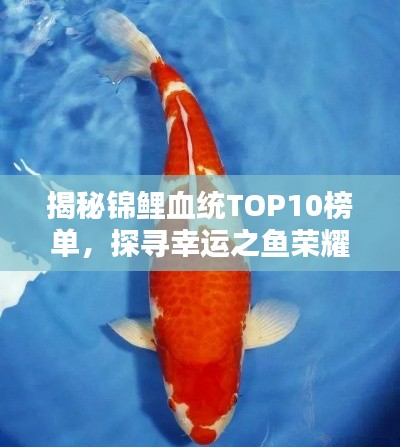 正襟危坐 第4頁