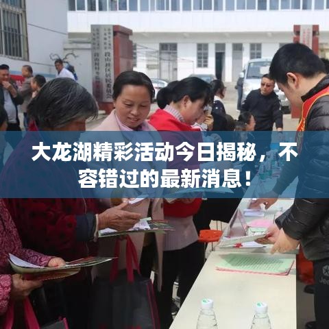 大龍湖精彩活動(dòng)今日揭秘，不容錯(cuò)過(guò)的最新消息！