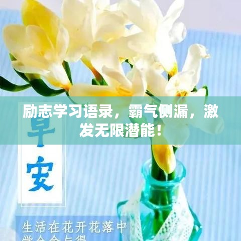 勵志學習語錄，霸氣側漏，激發(fā)無限潛能！
