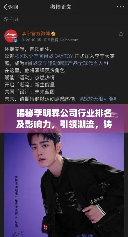 揭秘李明霖公司行業(yè)排名及影響力，引領(lǐng)潮流，鑄就傳奇！