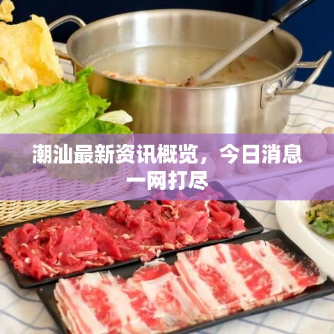潮汕最新資訊概覽，今日消息一網(wǎng)打盡