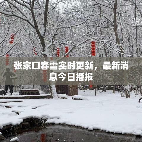 張家口春雪實(shí)時更新，最新消息今日播報(bào)
