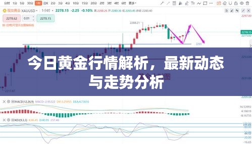 今日黃金行情解析，最新動(dòng)態(tài)與走勢(shì)分析