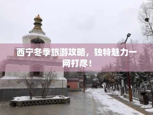 西寧冬季旅游攻略，獨特魅力一網(wǎng)打盡！