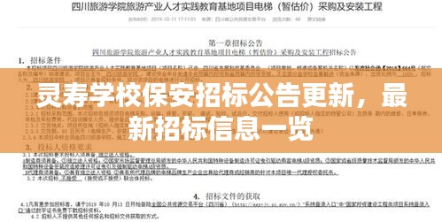 盡心盡力 第3頁(yè)
