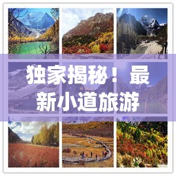 獨家揭秘！最新小道旅游攻略大全，帶你暢游未知美景