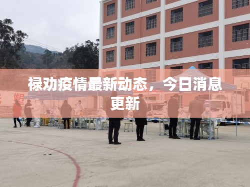 祿勸疫情最新動(dòng)態(tài)，今日消息更新