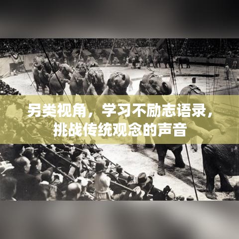 另類視角，學習不勵志語錄，挑戰(zhàn)傳統觀念的聲音