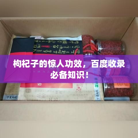 枸杞子的驚人功效，百度收錄必備知識！