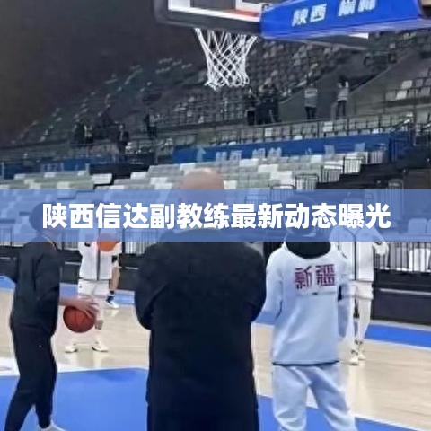 陜西信達(dá)副教練最新動(dòng)態(tài)曝光