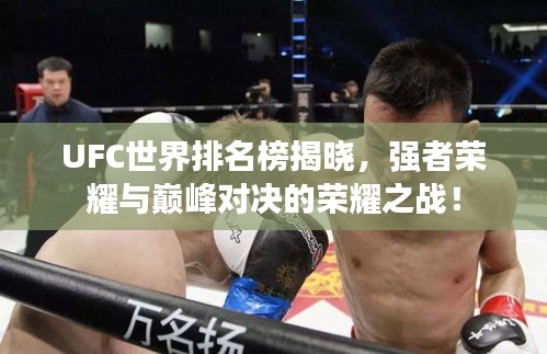 UFC世界排名榜揭曉，強(qiáng)者榮耀與巔峰對(duì)決的榮耀之戰(zhàn)！