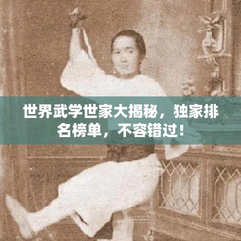 世界武學世家大揭秘，獨家排名榜單，不容錯過！