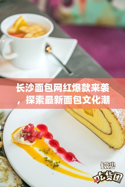 長沙面包網(wǎng)紅爆款來襲，探索最新面包文化潮流