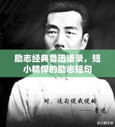 半截鳥(niǎo)木 第3頁(yè)