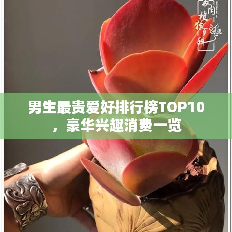 男生最貴愛好排行榜TOP10，豪華興趣消費一覽