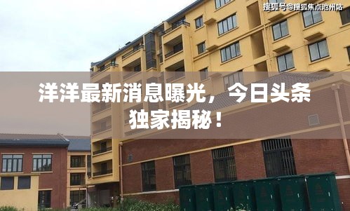 洋洋最新消息曝光，今日頭條獨(dú)家揭秘！