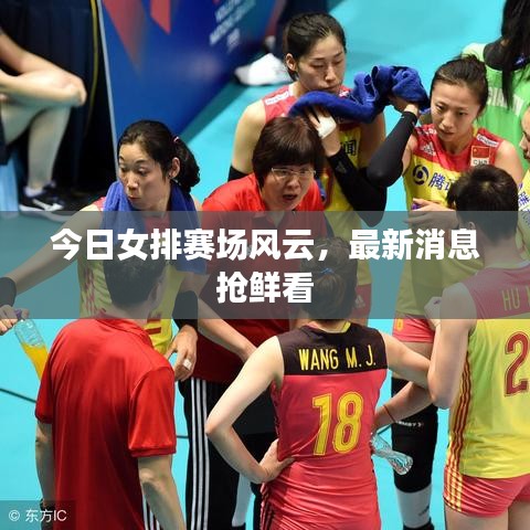 今日女排賽場風云，最新消息搶鮮看