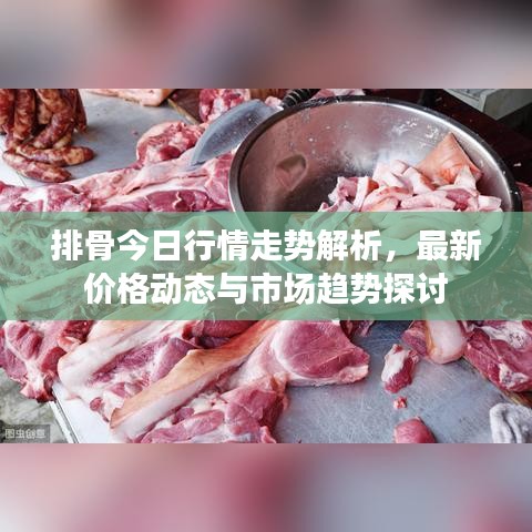 排骨今日行情走勢(shì)解析，最新價(jià)格動(dòng)態(tài)與市場(chǎng)趨勢(shì)探討