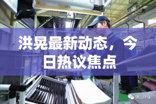 洪晃最新動態(tài)，今日熱議焦點