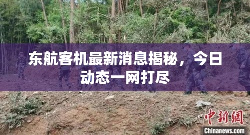 東航客機(jī)最新消息揭秘，今日動(dòng)態(tài)一網(wǎng)打盡