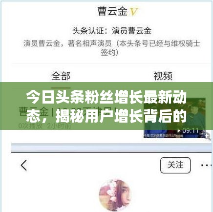 今日頭條粉絲增長最新動(dòng)態(tài)，揭秘用戶增長背后的秘密！