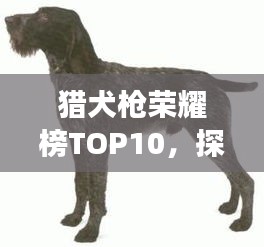 富貴不淫 第3頁
