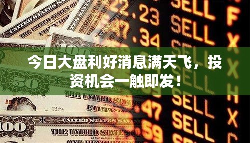 千里迢迢 第3頁(yè)