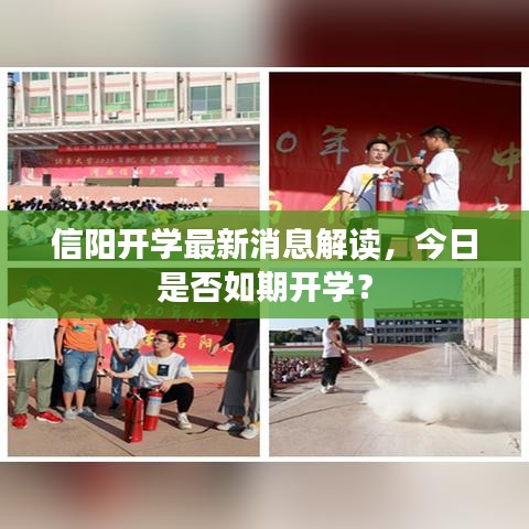 信陽開學(xué)最新消息解讀，今日是否如期開學(xué)？