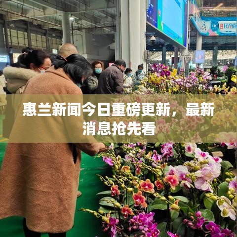 惠蘭新聞今日重磅更新，最新消息搶先看